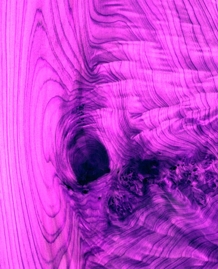 CD020紫《超１流》《１流》Fたタ72.jpg