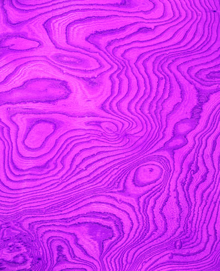 CD047紫《超１流》《１流》Fたタ72.jpg