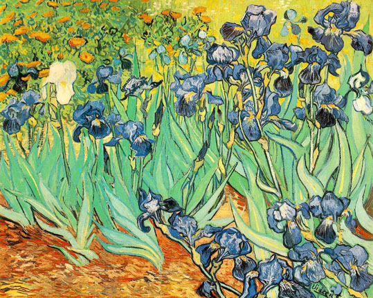 Irises,_1889,_Vincent_Van_Gogh.jpg