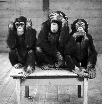 three-wise-monkeys-c11765657.jpeg